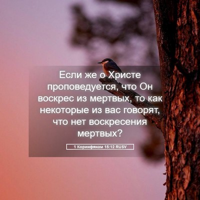 Picture 05 - 1 Коринфянам 15:12 RUSV - Если же о Христе - Bible Verse Picture