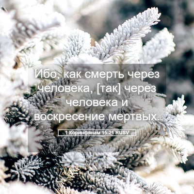 Picture 05 - 1 Коринфянам 15:21 RUSV - Ибо, как смерть через - Bible Verse Picture