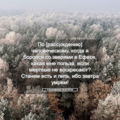 Picture 05 - 1 Коринфянам 15:32 RUSV - По [рассуждению] - Bible Verse Picture