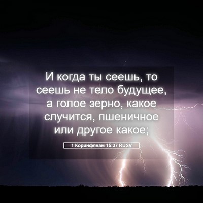 Picture 05 - 1 Коринфянам 15:37 RUSV - И когда ты сеешь, то сеешь - Bible Verse Picture