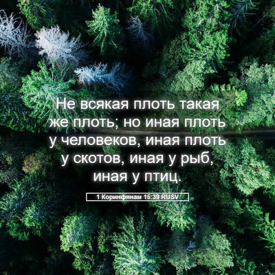 Picture 05 - 1 Коринфянам 15:39 RUSV - Не всякая плоть такая же - Bible Verse Picture