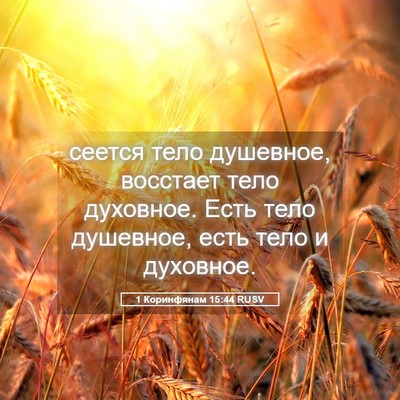 Picture 05 - 1 Коринфянам 15:44 RUSV - сеется тело душевное, - Bible Verse Picture