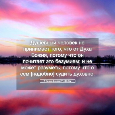 Picture 05 - 1 Коринфянам 2:14 RUSV - Душевный человек не - Bible Verse Picture