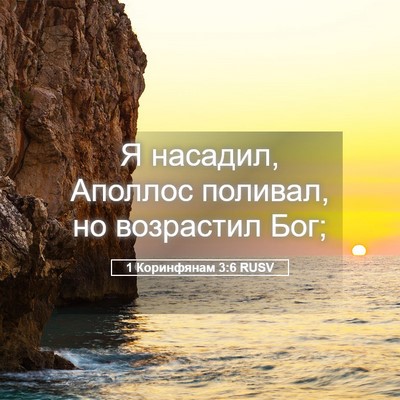 Picture 05 - 1 Коринфянам 3:6 RUSV - Я насадил, Аполлос поливал, - Bible Verse Picture