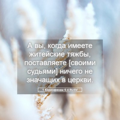 Picture 05 - 1 Коринфянам 6:4 RUSV - А вы, когда имеете - Bible Verse Picture
