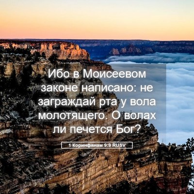 Picture 05 - 1 Коринфянам 9:9 RUSV - Ибо в Моисеевом законе - Bible Verse Picture