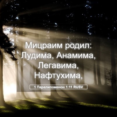 Picture 05 - 1 Паралипоменон 1:11 RUSV - Мицраим родил: Лудима, - Bible Verse Picture