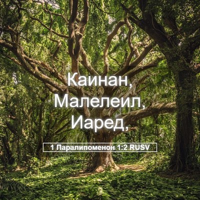Picture 05 - 1 Паралипоменон 1:2 RUSV - Каинан, Малелеил, - Bible Verse Picture