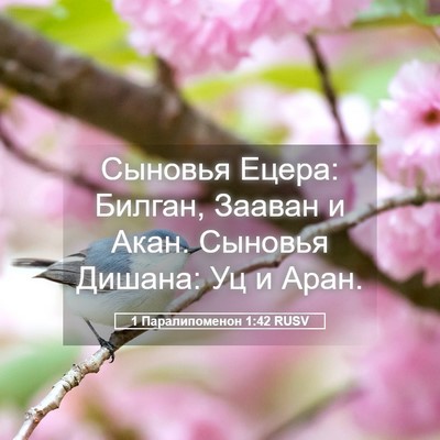 Picture 05 - 1 Паралипоменон 1:42 RUSV - Сыновья Ецера: Билган, - Bible Verse Picture