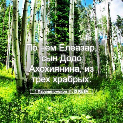 Picture 05 - 1 Паралипоменон 11:12 RUSV - По нем Елеазар, сын Додо - Bible Verse Picture