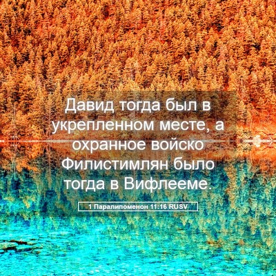 Picture 05 - 1 Паралипоменон 11:16 RUSV - Давид тогда был в - Bible Verse Picture