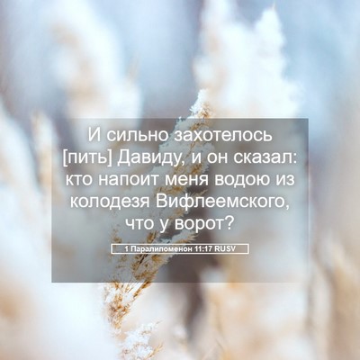 Picture 05 - 1 Паралипоменон 11:17 RUSV - И сильно захотелось [пить] - Bible Verse Picture