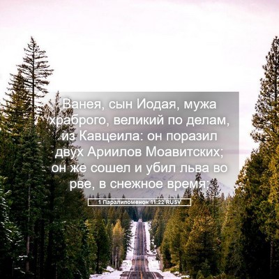 Picture 05 - 1 Паралипоменон 11:22 RUSV - Ванея, сын Иодая, мужа - Bible Verse Picture