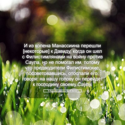 Picture 05 - 1 Паралипоменон 12:19 RUSV - И из колена Манассиина - Bible Verse Picture