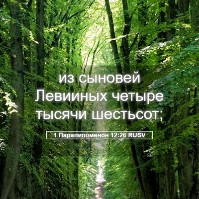Picture 05 - 1 Паралипоменон 12:26 RUSV - из сыновей Левииных четыре - Bible Verse Picture