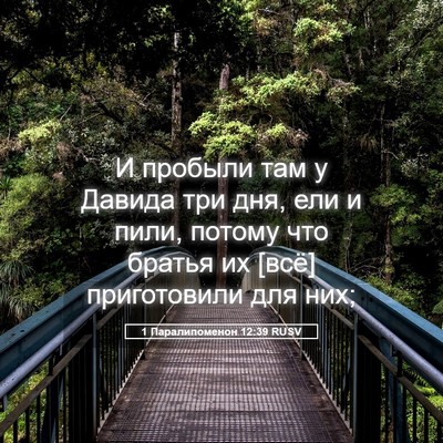 Picture 05 - 1 Паралипоменон 12:39 RUSV - И пробыли там у Давида три - Bible Verse Picture