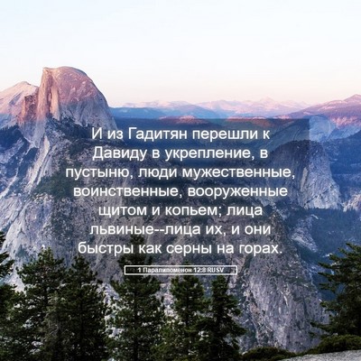 Picture 05 - 1 Паралипоменон 12:8 RUSV - И из Гадитян перешли к - Bible Verse Picture