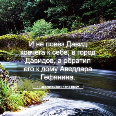 Picture 05 - 1 Паралипоменон 13:13 RUSV - И не повез Давид ковчега к - Bible Verse Picture