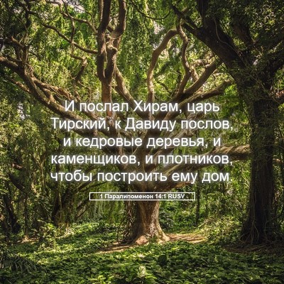 Picture 05 - 1 Паралипоменон 14:1 RUSV - И послал Хирам, царь - Bible Verse Picture