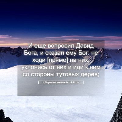 Picture 05 - 1 Паралипоменон 14:14 RUSV - И еще вопросил Давид Бога, - Bible Verse Picture