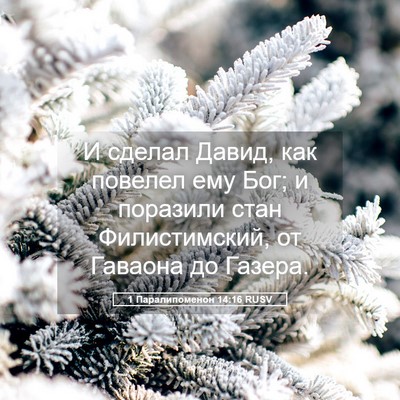 Picture 05 - 1 Паралипоменон 14:16 RUSV - И сделал Давид, как повелел - Bible Verse Picture