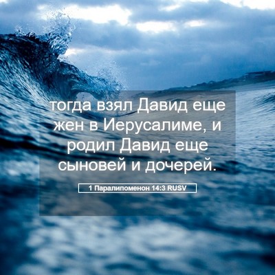 Picture 05 - 1 Паралипоменон 14:3 RUSV - тогда взял Давид еще жен в - Bible Verse Picture