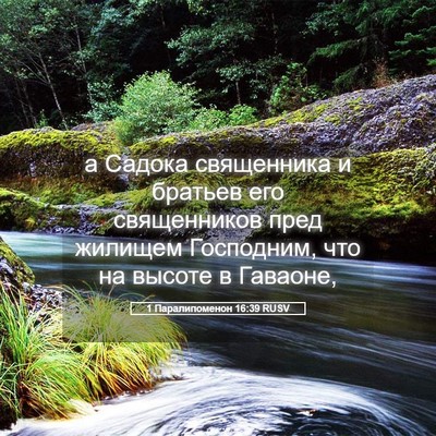 Picture 05 - 1 Паралипоменон 16:39 RUSV - а Садока священника и - Bible Verse Picture