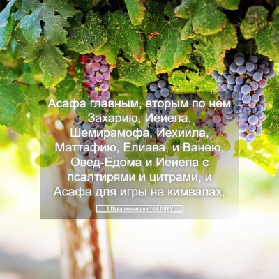 Picture 05 - 1 Паралипоменон 16:5 RUSV - Асафа главным, вторым по - Bible Verse Picture