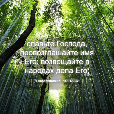Picture 05 - 1 Паралипоменон 16:8 RUSV - славьте Господа, - Bible Verse Picture
