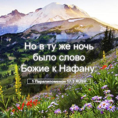 Picture 05 - 1 Паралипоменон 17:3 RUSV - Но в ту же ночь было слово - Bible Verse Picture