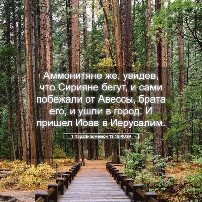 Picture 05 - 1 Паралипоменон 19:15 RUSV - Аммонитяне же, увидев, что - Bible Verse Picture