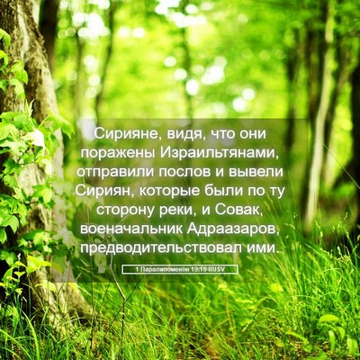 Picture 05 - 1 Паралипоменон 19:16 RUSV - Сирияне, видя, что они - Bible Verse Picture