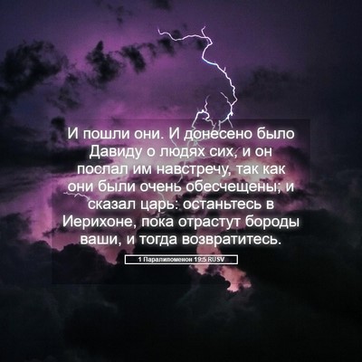 Picture 05 - 1 Паралипоменон 19:5 RUSV - И пошли они. И донесено - Bible Verse Picture