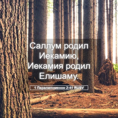 Picture 05 - 1 Паралипоменон 2:41 RUSV - Саллум родил Иекамию, - Bible Verse Picture