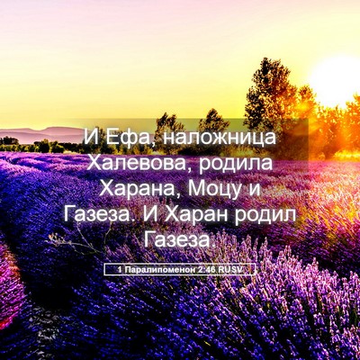 Picture 05 - 1 Паралипоменон 2:46 RUSV - И Ефа, наложница Халевова, - Bible Verse Picture