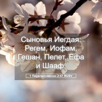 Picture 05 - 1 Паралипоменон 2:47 RUSV - Сыновья Иегдая: Регем, - Bible Verse Picture