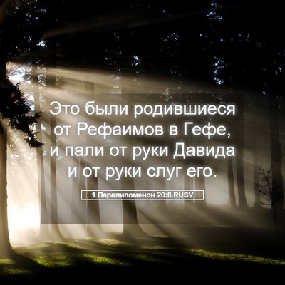 Picture 05 - 1 Паралипоменон 20:8 RUSV - Это были родившиеся от - Bible Verse Picture