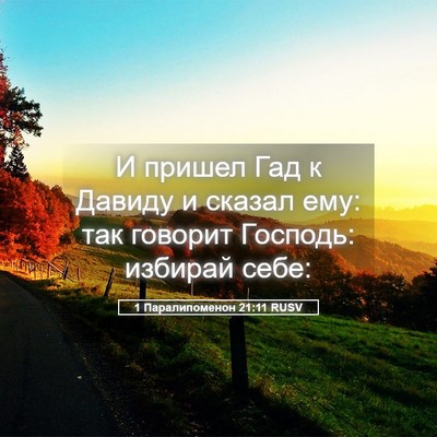 Picture 05 - 1 Паралипоменон 21:11 RUSV - И пришел Гад к Давиду и - Bible Verse Picture