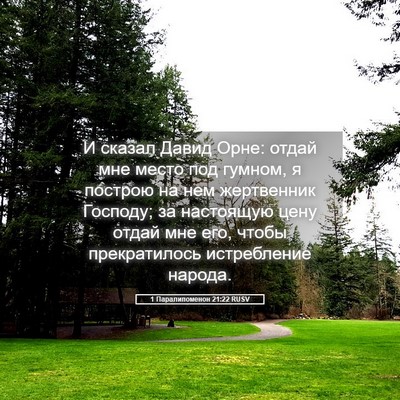 Picture 05 - 1 Паралипоменон 21:22 RUSV - И сказал Давид Орне: отдай - Bible Verse Picture