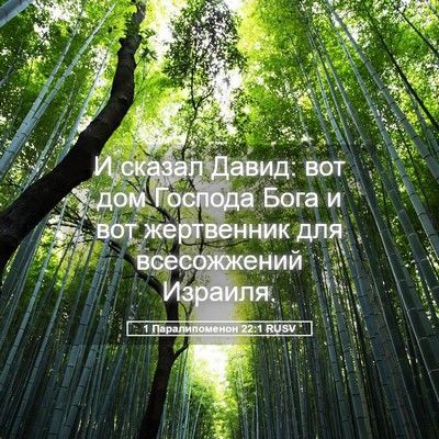 Picture 05 - 1 Паралипоменон 22:1 RUSV - И сказал Давид: вот дом - Bible Verse Picture