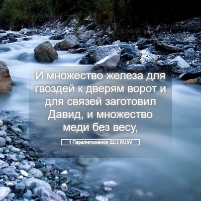 Picture 05 - 1 Паралипоменон 22:3 RUSV - И множество железа для - Bible Verse Picture