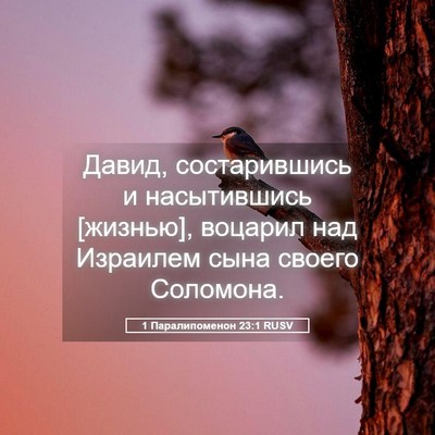 Picture 05 - 1 Паралипоменон 23:1 RUSV - Давид, состарившись и - Bible Verse Picture