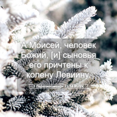 Picture 05 - 1 Паралипоменон 23:14 RUSV - А Моисей, человек Божий, [и] - Bible Verse Picture