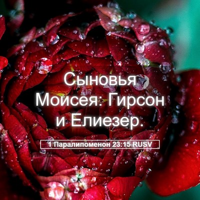 Picture 05 - 1 Паралипоменон 23:15 RUSV - Сыновья Моисея: Гирсон и - Bible Verse Picture