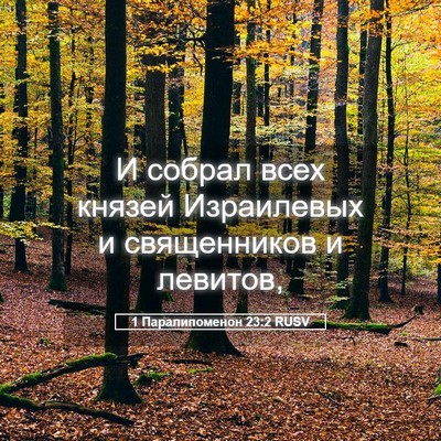 Picture 05 - 1 Паралипоменон 23:2 RUSV - И собрал всех князей - Bible Verse Picture