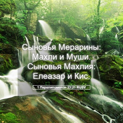 Picture 05 - 1 Паралипоменон 23:21 RUSV - Сыновья Мерарины: Махли и - Bible Verse Picture