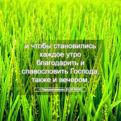 Picture 05 - 1 Паралипоменон 23:30 RUSV - и чтобы становились каждое - Bible Verse Picture