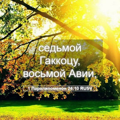 Picture 05 - 1 Паралипоменон 24:10 RUSV - седьмой Гаккоцу, восьмой - Bible Verse Picture