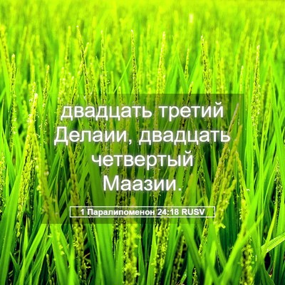 Picture 05 - 1 Паралипоменон 24:18 RUSV - двадцать третий Делаии, - Bible Verse Picture
