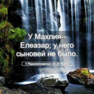 Picture 05 - 1 Паралипоменон 24:28 RUSV - У Махлия--Елеазар; у него - Bible Verse Picture